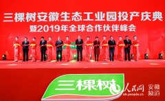 三棵树安徽生态工业园投产庆典在安徽