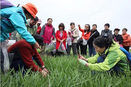 北京农业农村局带你走进特色基地 尝京味韭菜美