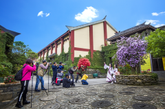 岳阳摄影家聚焦长江岸边生态工厂 记录