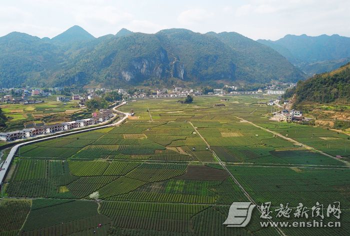 ！（生态文明专栏）生态茶乡水田坝(162144)-20190411090946