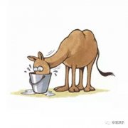 见过旅行结婚的见过旅行上市吗?这款