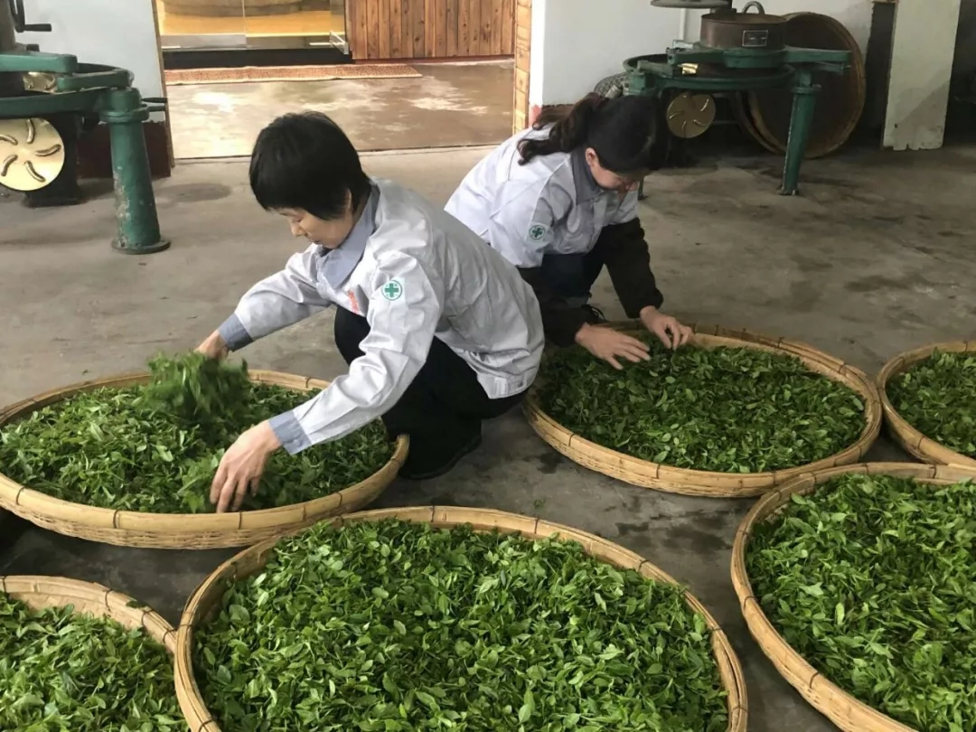 青岛市自媒体联盟城市体验家活动：探访时尚青岛 走进活力崂山