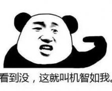 出国游还是国内游?这是个问题