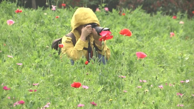梅园花海风铃童趣节 赏花游玩正当时