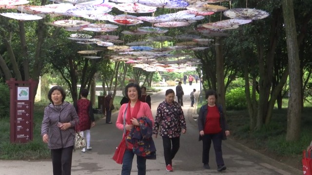 梅园花海风铃童趣节 赏花游玩正当时