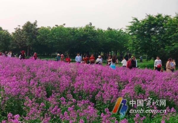 五月的花海！小长假里宁波植物园许你一场繁花