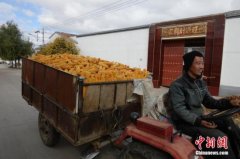 农业农村部:不得截留套取和冒领农牧