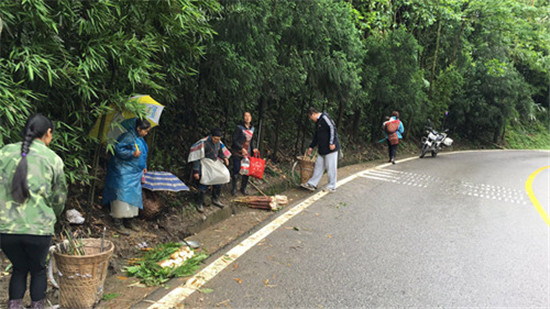 洪雅县柳江镇刚柔并济整治苦笋销售 力保旅游干