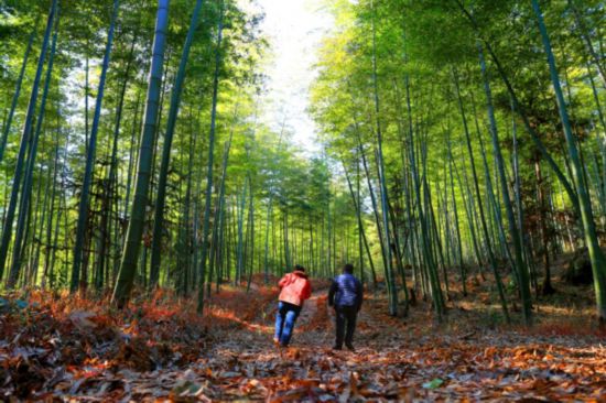 江西芦溪：“旅游+”风生水起