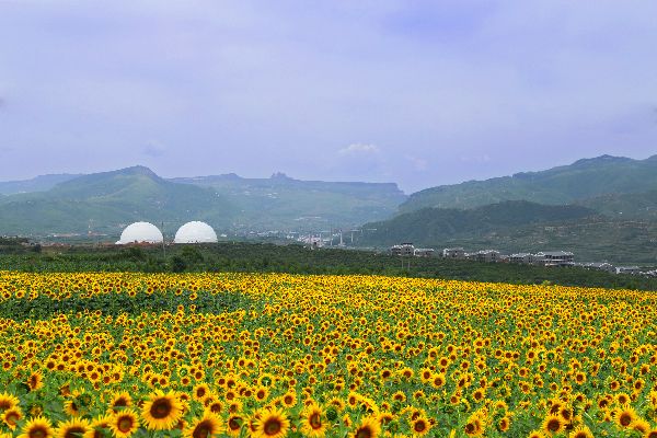 河北宝晟农业开发有限公司