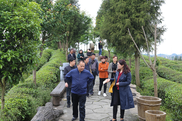 湖北省恩施州政协到凤冈考察生态旅游产业