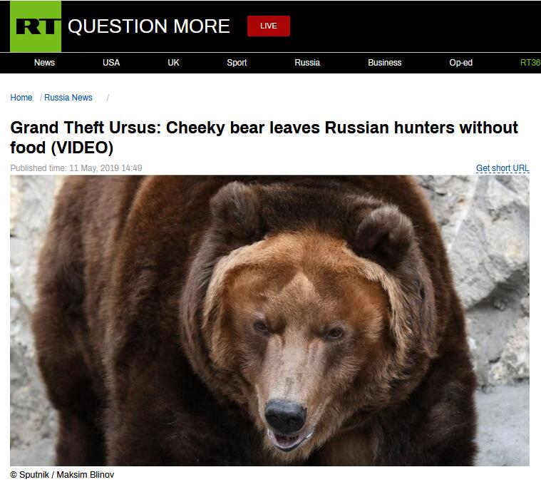 哭笑不得！俄罗斯一棕熊“抢劫犯”洗劫猎人食