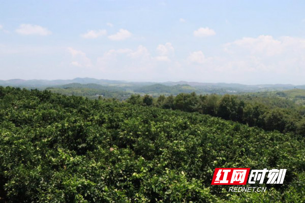 邵阳县福林村转型记：矿山变青山 吃上“旅游饭”