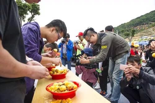 今年台州枇杷好吃不贵 枇杷节、采摘游干货信息