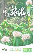 官宣!5·19中国旅游日游客当日免门票游