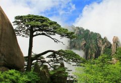 【中国旅游日】美好生活,“惠游”黄