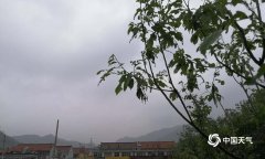 鸡蛋大冰雹袭击河北遵化 汽车被砸“满