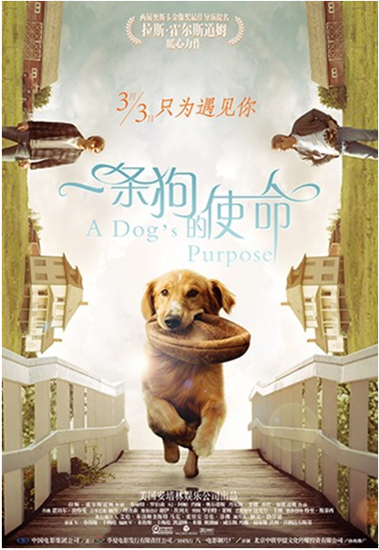 《一条狗的使命2》上映 阿里影业成外片最佳合伙