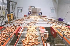 宁波都市农业高质量发展系列报道之三