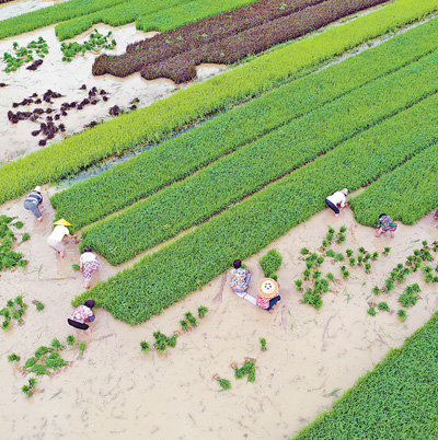 美丽乡村红色旅游