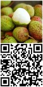 抢“鲜”登场!妃子笑荔枝爆汁来袭,
