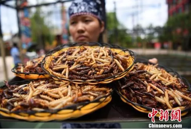 昆虫或将成人类新食物？云南人：我们早已赢在起跑线（6）