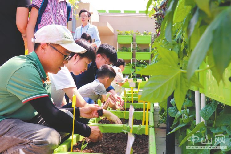 传播健康知识 倡导营养新生活