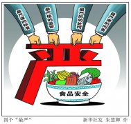 实行食物宁静战略的大纲性文件
