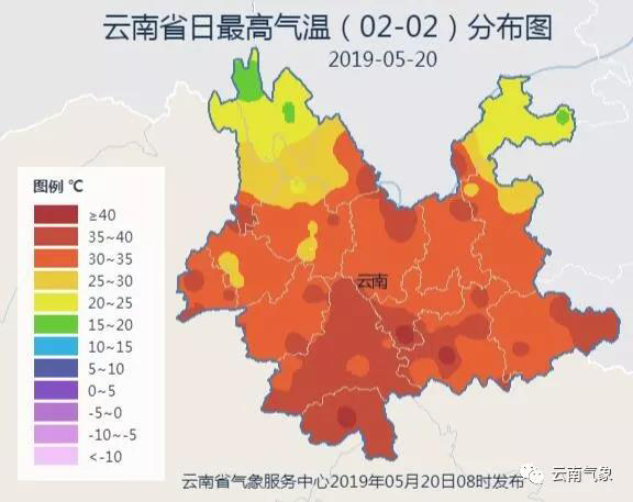 为减少食物浪费澳大利亚一超市“丑”蔬果打折卖