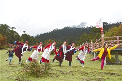 西藏山南勒布杜鹃五月矜