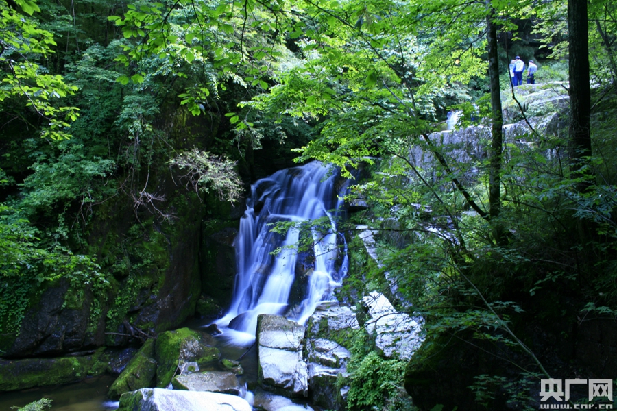 陕西木王景区面向外国留学生招募首席旅游体验官