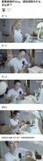 章子怡吃泡面只吃四口?女明星的克制