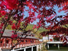 2019中国最美县域榜单发布 河南9个县(市