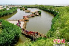 博湖本土文化符号引领全域旅游添彩“