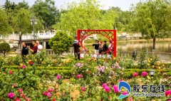 莱州第29届月季花节开幕 10个项目集中签