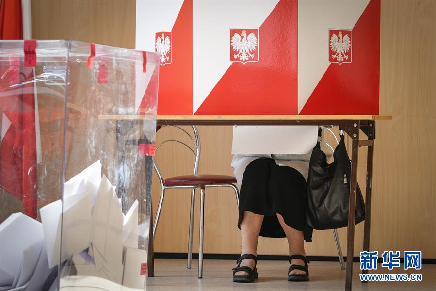（国际）（4）波兰举行欧洲议会选举投票