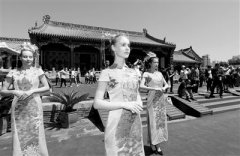 以针为笔,以丝为墨 绘出创富新画卷