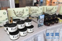 重庆文化旅游空港宣传活动启动 万盛作