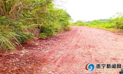道路泥泞村民盼修路 交了集资款却迟迟