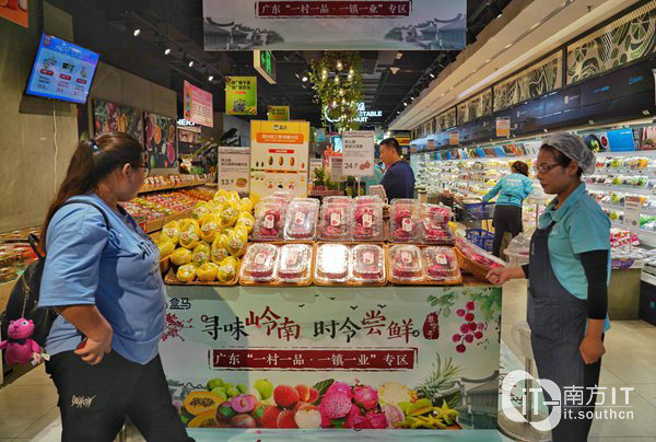 新零售走到田间地头 广东百家农场联姻盒马