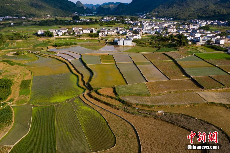 贵州万峰林农田纵横似天然调色板