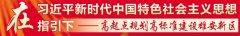 雄安新区:向世人揭开最核心区域面纱