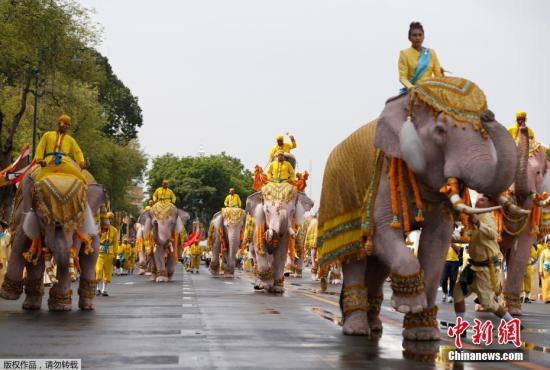 资料图：当地时间2019年5月7日，泰国曼谷大皇宫附近，象夫骑着大象民众一起游行，向泰国国王玛哈·哇集拉隆功致敬。