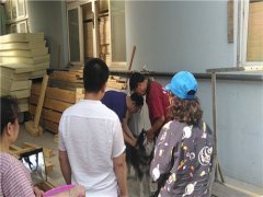 做好动物狂犬病防控保障市民安全健康