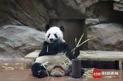 端午小长假首日 成都接待游客超102万人