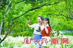 假期厦门旅游人气旺 花海与雾森宛若人