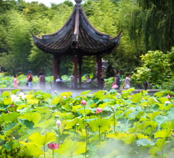 上海夏季消暑之旅11条游玩线路推荐