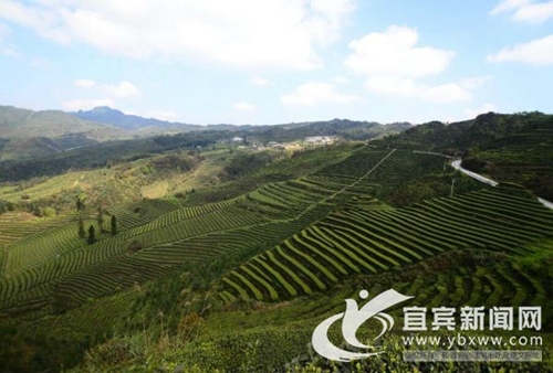 宜宾10家景区获授牌 打造标杆旅游目的地