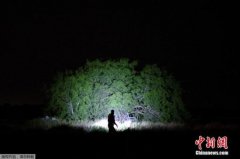 美墨达移民协议 已有逾万人被送回墨西