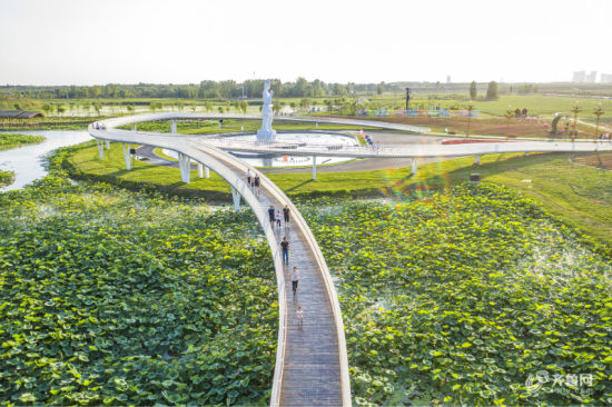 十里荷塘是黄河滩区改建而成的免费城市休闲景区，满池荷花竞相绽放，吸引滨州市及周边游客前来赏荷。